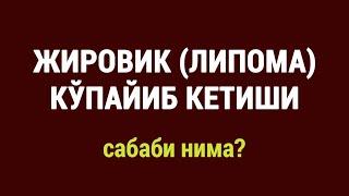 Жировик кўпайиб кетиши: сабаби нима?