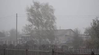 Снегопад среди ясного дня