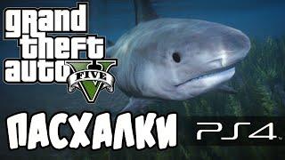 GTA 5 - пасхалки (ГТА 5) - Акула