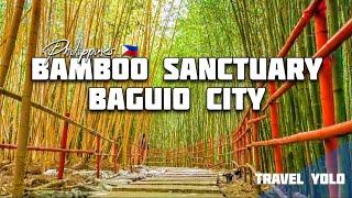 BAMBOO SANCTUARY | BAGUIO CITY [4K] #BambooSanctuary