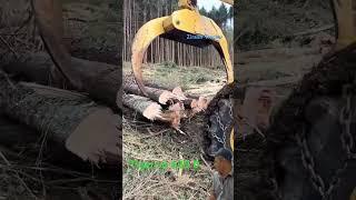 Tigercat  630 D  Powerful wood pulling tractor #forest #automobile #tractor