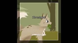 All my tears//Thrushpelt #warriorcats