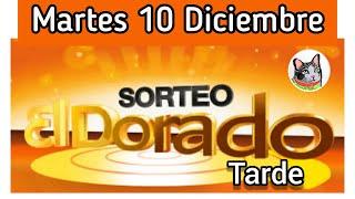 Resultado EL DORADO TARDE Martes 10 de Diciembre de 2024