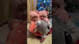 Лисички сестрички #shorts #sisters #cute #funny #fox #twins #лисички #сестра