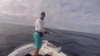 Cobia, jig, shimano, Stradic, gtbuster