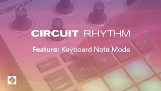 Circuit Rhythm - Keyboard Note Mode // Novation