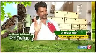 Importance of Sparrows - News 7 Tamil