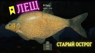 Русская рыбалка 4 (РР4) оз. Старый Острог ЛЕЩ Russian fishing 4 (РР4) lake. Old Ostrog BREAM