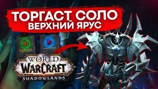 ТОРГАСТ ВЕРХНИЙ ЯРУС СОЛО АНХОЛИ ДК WOW SHADOWLANDS, СИНОД БОСС БАШНИ СОЛО АДК