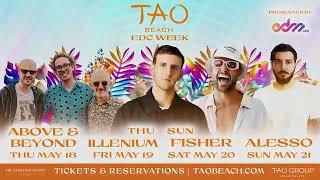 EDC Week at TAO Beach Dayclub