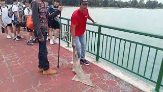 Bedok Jetty, Recreational Sustainable Fishing, Shovelnose Ray, Catch and Release