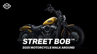 2025 Street Bob Overview | Harley-Davidson