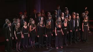 Rise (Katy Perry) – Landesjugendchor Kärnten/Koroška