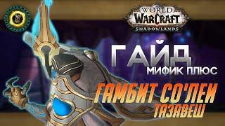 КАК ЗАТАЙМИТЬ ГАМБИТ СО'ЛЕИ?! || ФИШКИ ПРОХОЖДЕНИЯ || World Of Warcraft Shadowlands