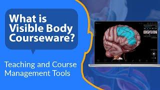 Visible Body Courseware | Interactive 3D Science Content Meets Course Management