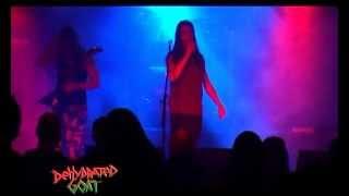 Dehydrated Goat - Tendency To Participate In Penetrative Activities/Portable Anus - live at MP
