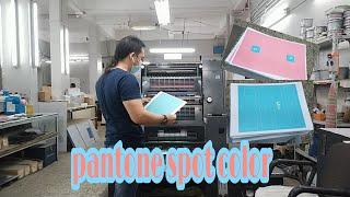 Pantone spot color l Heidelberg GTO 52 printmaster l katol official