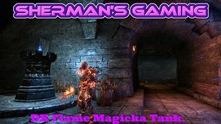 DK Flame Magicka Tank.