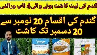 Wheat best varieties for late Sowing||wheat varities sowing in December|High Yield Wheat varieties