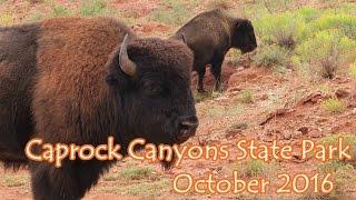 Caprock Canyons State Park Part 1 of 2
