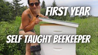 Unexperienced beekeeper shares full first year POV Start to finish 1080P