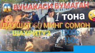 #МОЛБОЗОРИ #ШАХРИТУЗ ХОЛИ БУНАКАСИ БУЛМАГАН 60 МИНГ СОМОН 1 ТОНАЛИК БУКА ДАХШАТ 11 апреля 2021 г.