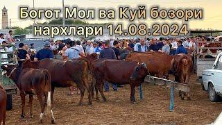 Богот Мол ва Куй бозори нархлари.14.08.2024. ALIXON в прямом эфире!