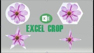 How to crop image in circle using excel | how to crop image in any shape