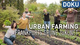 Urban farming - gardening for the climate | experience hesse | documentary