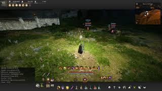 BDO Awakening Hashashin 272 276 366 accuracy offhand VS Striker Awakening ? ? ?