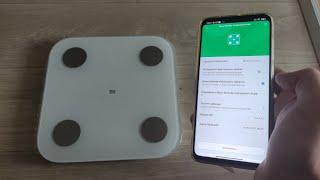 Как подключить Mi Fit к весам Xiaomi Mi Body Composition Scale 2 и получить информацию о здоровье ?