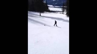 DD's pet ptarmigan--Revelstoke 03.18.14