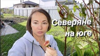 #влог Будни станичные / Переезд на юг / Life in Russia