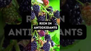 5 Benefits of Blackberry / 5 Vorteile von Brombeere
