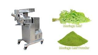 BS hammer mill moringa leaf grinding machine-info@brightsail-asia.com