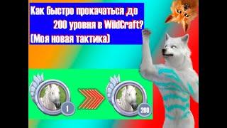 Как быстро прокачаться до 200 уровня в WildCraft - (Моя новая тактика)Как Я прокачиваюсь в WildCraft