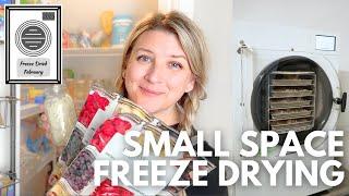 Ultimate Guide to Freeze Drying in Small Spaces!