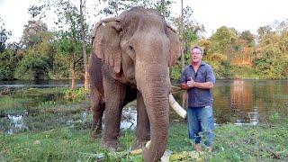 "NOT CUTE: PART 1 - Elephants and the pianist Paul Barton replies to Iris Koch