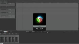 Настройка Reaper ч.1 (Undo, автосохранение, конфиг, организация проектов и пр.)