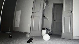 PARANORMAL ACTIVITY INSIDE A HOME. LIVE EVIDENCE OVERNIGHT!