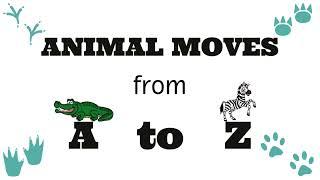 Animal Moves   