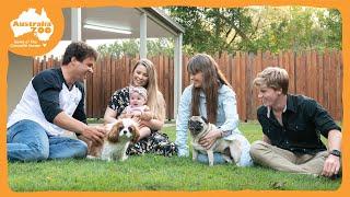 Celebrate National Pug Day | Irwin Family Adventures