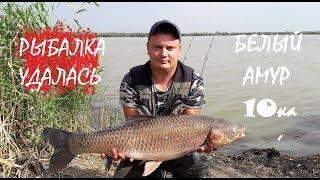 Трофейный амур! Fishing crimea, белый амур рыбалка удалась