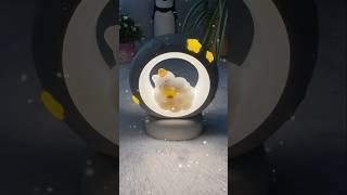 Meesho Desk Lamp 🪔 #ytshorts #shorts #meesho #meeshofinds #unboxing #meeshohaul