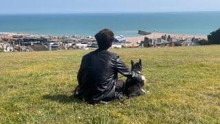 2024: Walking My Dog - Me & Marley (MONTAGE)