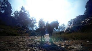 BDO: The Cost of a T9 Dream Horse (Tutorial?)