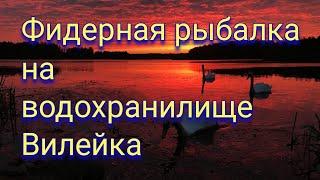 Фидерная рыбалка на водохранилище Вилейка. Ловля плотвы на фидер. Рыбалка в Беларуси.