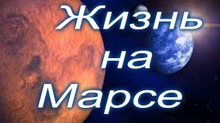 Жизнь на Марсе БЫЛА! Есть ли жизнь на Марсе? Возможна ли жизнь на Марсе?