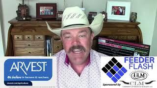 Feeder Flash 6/20:  Wholesale Beef Rally