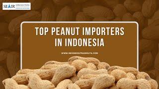 Peanut Export from India to Global Markets: A 2024 Overview